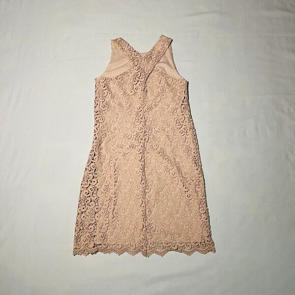 Pink Lace Dress - Picture 2 of 3